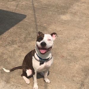 Meet your Posher, Kaja